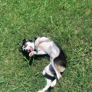 Meet your Posher, Eric